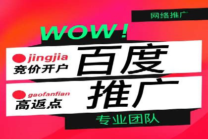 百度广告推广案例：助力企业快速成长